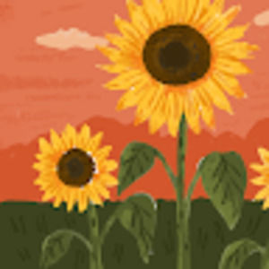 Meet your Posher, Ajok